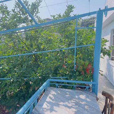 Hilltop House 펜션